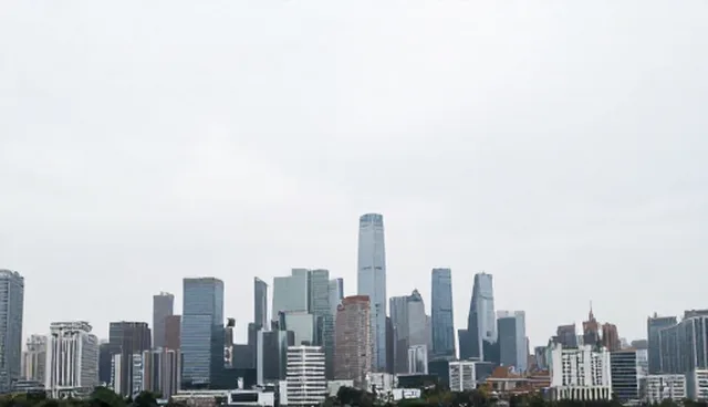 企业名录查询的分类标准检查要点解析
